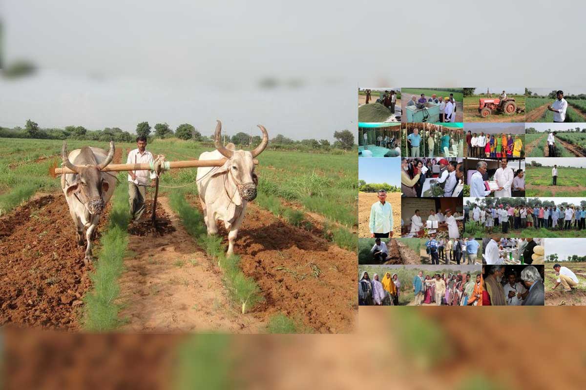 Capacity building and exposure visits