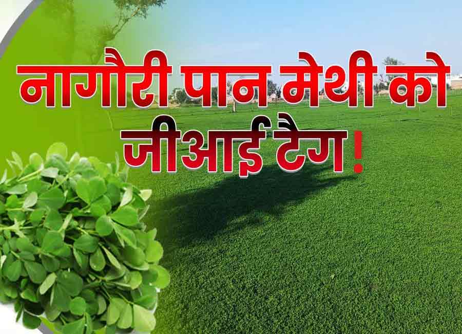 ETV Bharat coverage
