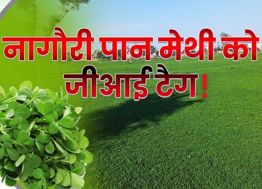 ETV Bharat coverage