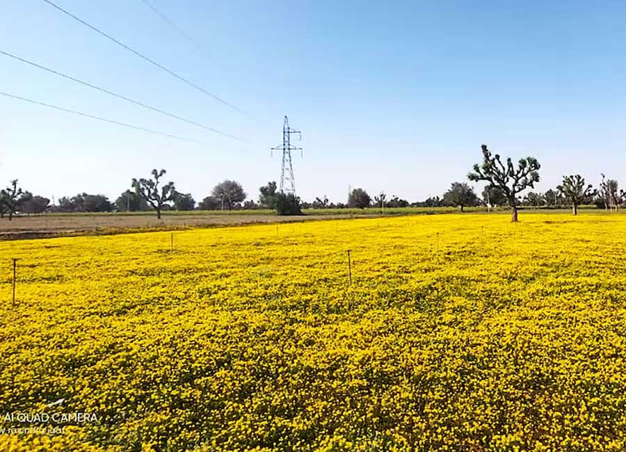 Kisan Tak coverage