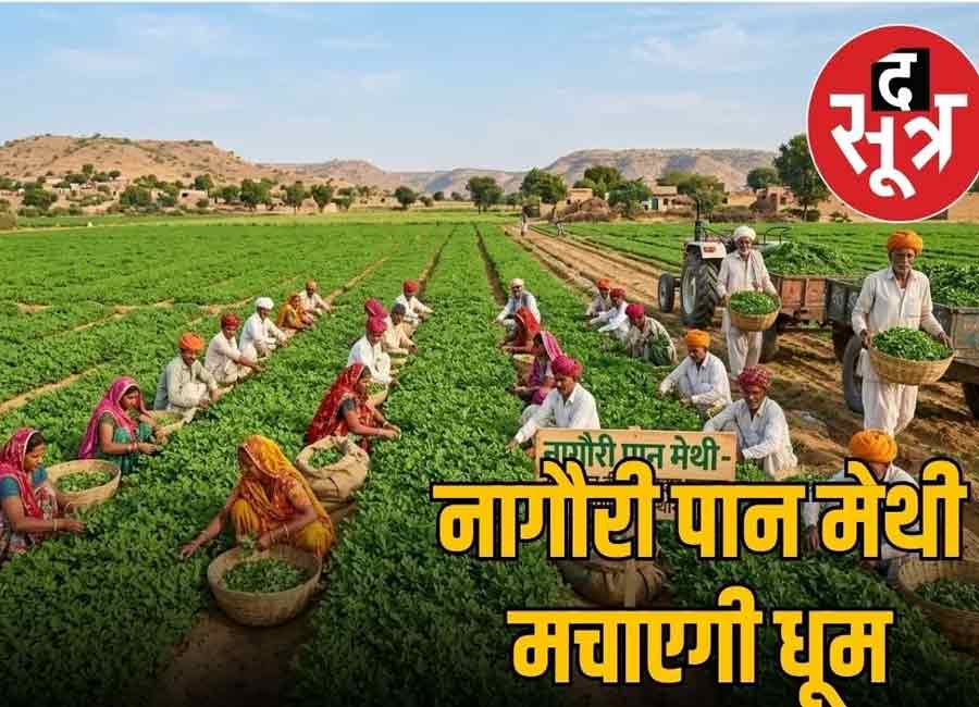 ETV Bharat coverage