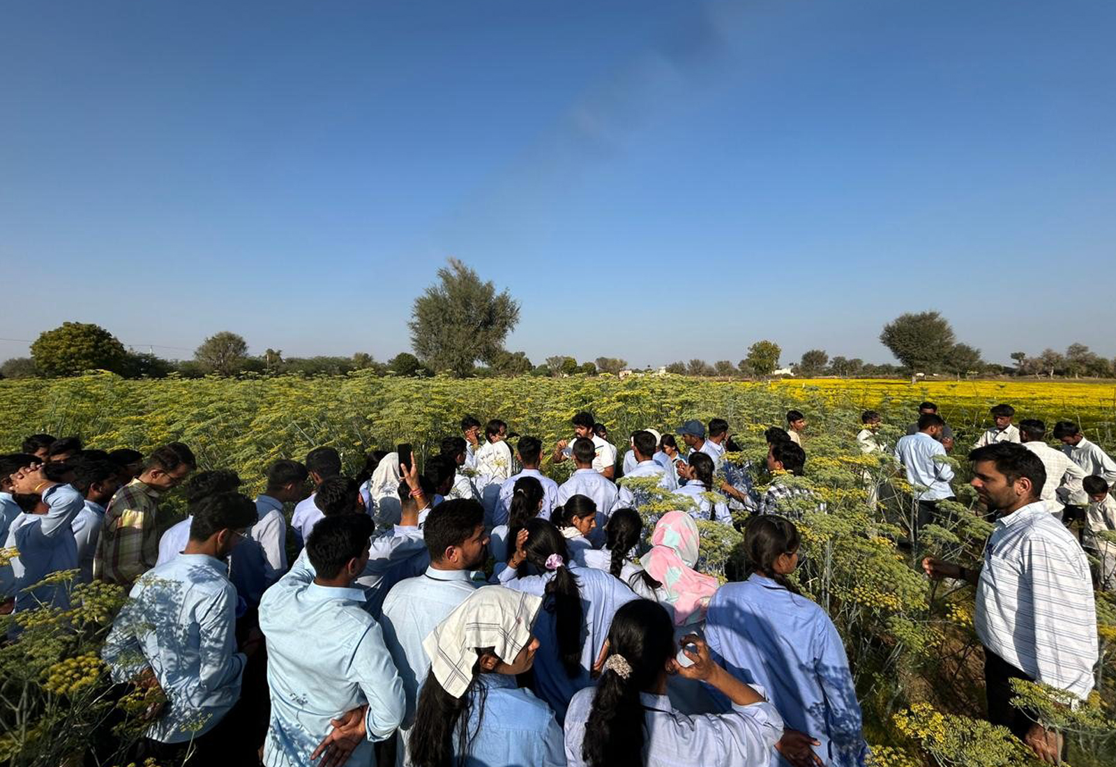 Agriculture students field exposure