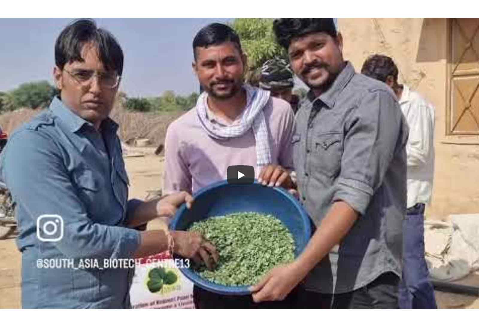 Women farmers celebration